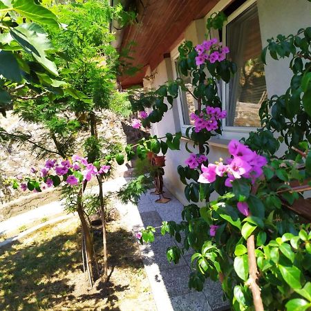 Lili House Apartment ปอร์โตรอซ ภายนอก รูปภาพ