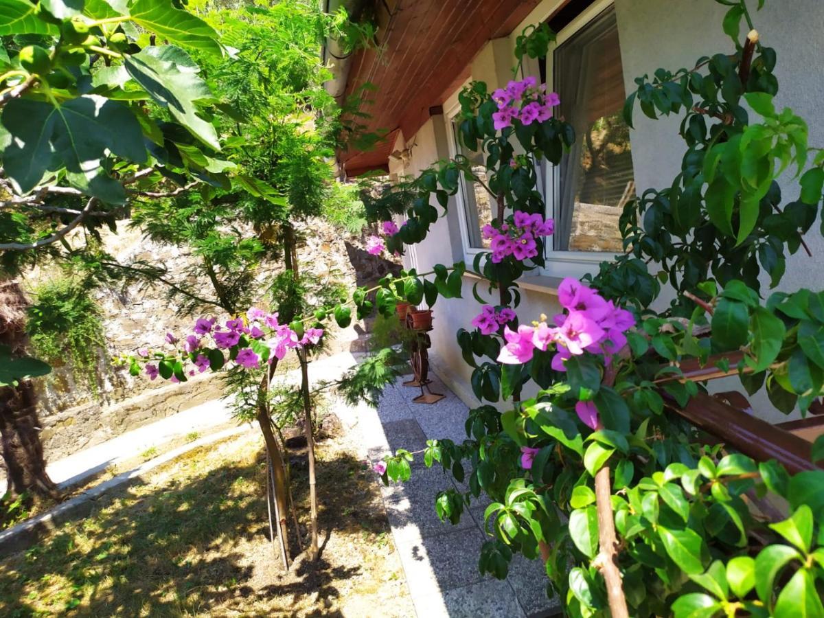 Lili House Apartment ปอร์โตรอซ ภายนอก รูปภาพ